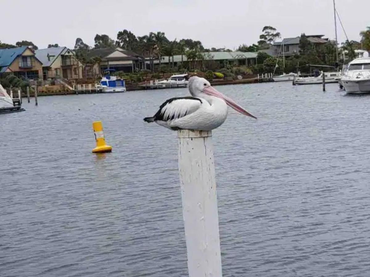 The View - Captains Cove Waterfront Resort Paynesville Exteriér fotografie